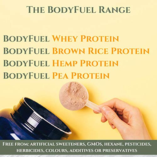 Complementary Supplements - BodyFuel Whey Protein Isolate & Concentrate Vanilla Flavour Complementary Supplements Au supplements