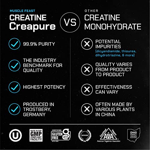 Muscle Feast Creapure Creatine Monohydrate Powder for Muscle Growth Nutritional Muscle Feast Au supplements