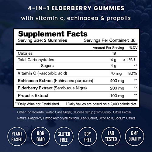 NutraChamps Elderberry Gummies with Vitamin C, Propolis & Echinacea NutraChamps Au supplements