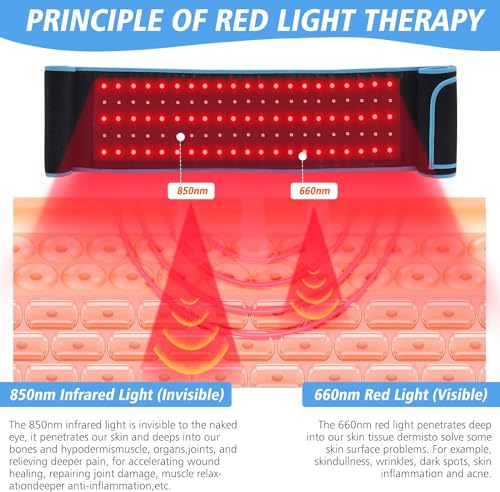 Red Light Therapy Near Infrared Light Therapy Wrap Belt for Body with Timer for Waist Back Shoulder AKYSUN Au supplements