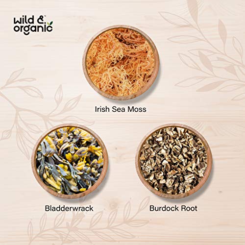 Sea Moss Capsules - 180 Caps Wildcrafted Irish Moss, Burdock Root & Bladderwrack Wild & Organic Au supplements