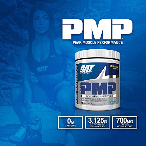 GAT PMP (Peak Muscle Performance), Next Generation Pre Workout Powder for Intense GAT SPORT Au supplements