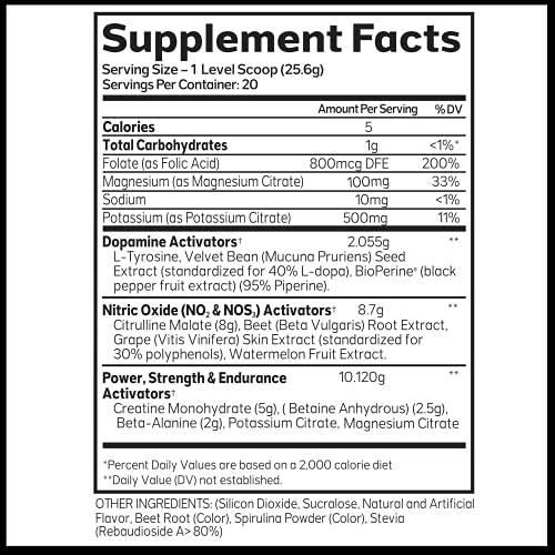 Advanced Molecular Labs - Pre Workout Powder, Increases Drive, Performance Enhancer AML ADVANCED MOLECULAR LABS Au supplements