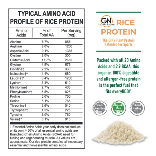 Growing Naturals | Vanilla Rice Powder 15g Plant Protein | 2.8G BCAA, Low-Carb Growing Naturals Au supplements