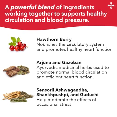 LifeSeasons B/P Stabili-T - Blood Pressure Support - Vitamin Supplement for Healthy Heart & Circulation - Ashwagandha, Arjuna & Hawthorn Berry - 240 Capsules LifeSeasons Au supplements