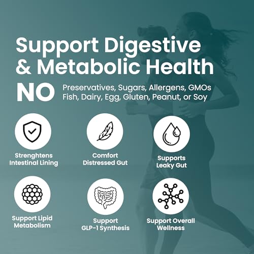 Akkermansia Muciniphila Probiotics for Digestive Health - 5 Billion TFU Akkermansia Probiotic UpNourish Au supplements