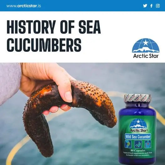 Arctic Star - Sea Cucumber Capsules - Natural Pure Iceland Atlantic Wild Caught Sea Cucumber Extract Supplement Pills - Joint Health t & Immune Health 400mg 80 Capsules/Bottle Arctic Star uk supplements