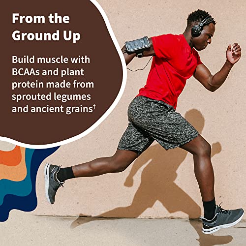 Garden of Life Vegan Protein Powder - 22g Raw Plant Protein, BCAAs, Probiotics Garden of Life Au supplements