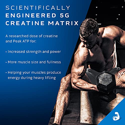 Creatine Powder | MuscleTech Cell-Tech Elite Creatine Powder | Post Workout Recovery MuscleTech Au supplements
