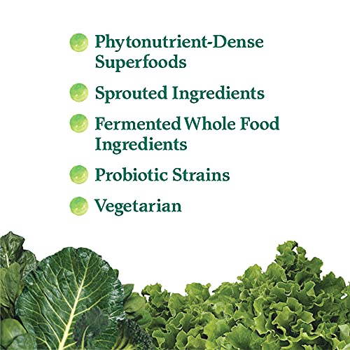 Garden of Life Perfect Food Super Green Formula - 14 Servings | 45 Superfoods, Greens Garden of Life Au supplements
