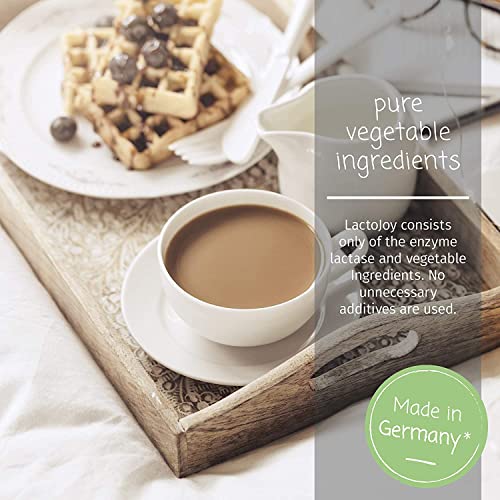 LactoJoy Lactase Pills I 240 Pieces Refill Package I Powerful Lactase Enzymes for Lactose LactoJoy Au supplements