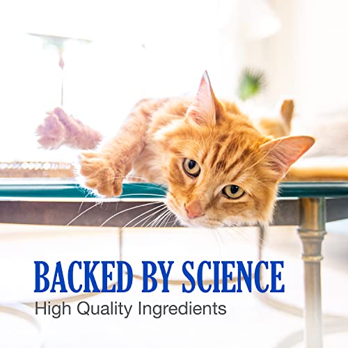 Nutramax Cobalequin B12 Supplement for Cats and Small Dogs, 45 Count (Pack of 1) Nutramax Laboratories Au supplements
