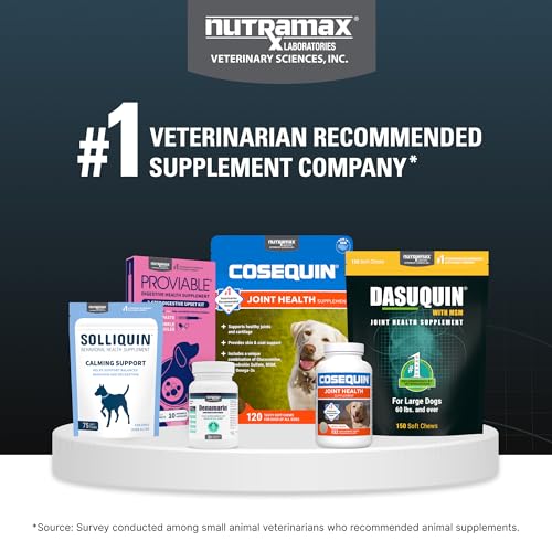 Nutramax Dasuquin for Large Dogs, Joint Health Supplement, Contains Glucosamine for Dogs, Plus Chondroitin, ASU, MSM and More, Supports Healthy Joints, Soft Chews, 150 Count Nutramax Laboratories Au supplements
