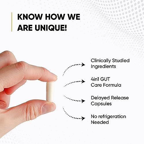 Sandhu's Gut Health - Prebiotic, Probiotic, Postbiotic & L-Glutamine – Digestive Health Sandhu's Au supplements