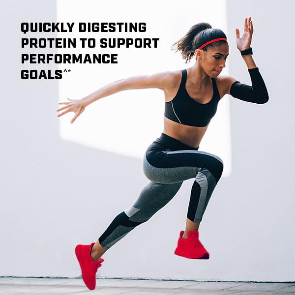 GNC Pro Performance 100% Whey Protein Powder - Vanilla Cream, 25 Servings GNC Au supplements