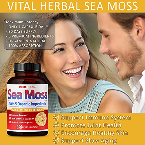 VITAL HERBAL Irish Sea Moss Capsules Equivalent to 5450mg - Maximum Potency VITAL HERBAL Au supplements