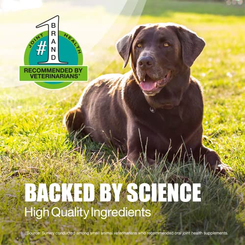 Nutramax Laboratories Dasuquin with MSM Joint Health Supplement for Large Dogs Nutramax Laboratories Au supplements