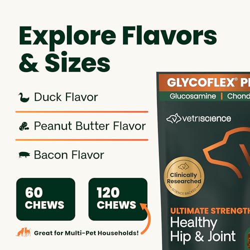 VetriScience Ultimate Strength Hip & Joint Supplement for Dogs, GlycoFlex Plus – MSM, Chondroitin & Green-Lipped Mussel Chews for Mobility, Flexibility, Comfort & Support, Peanut Butter Flavor 120 Cnt VETRISCIENCE Au supplements