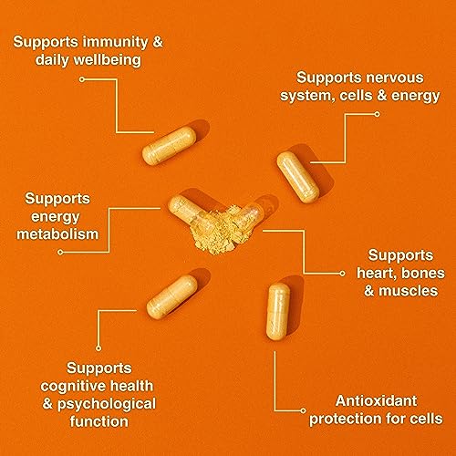 Puro Multivitamin - 34 Multivitamins & Minerals - Daily Complex for Men & Women Purolabs Au supplements