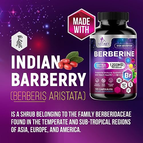 Berberine Supplement 1200mg per Serving - High Absorption Heart Health Support Nature's Nutrition Au supplements