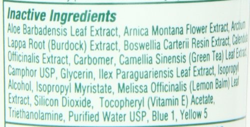 Bio Freeze Pain Relieving Gel, 4 Ounce, 12-Count Biofreeze Au supplements