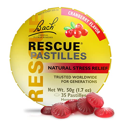Bach RESCUE PASTILLES, Cranberry Flavor, Natural Stress Relief Lozenges RESCUE Au supplements