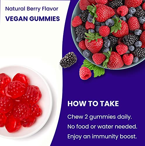 Elderberry Gummies | Sambucus Elderberry Gummies for Adults & Kids | Vitamin C NutraChamps Au supplements