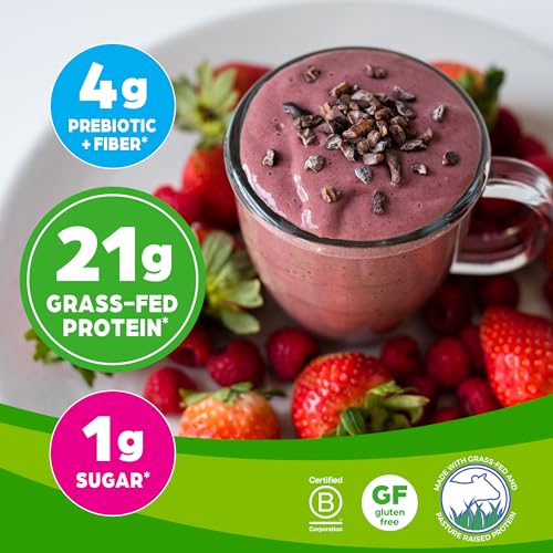 Orgain Whey Protein Powder, Creamy Chocolate Fudge - 21g Grass Fed Dairy Protein Orgain Au supplements