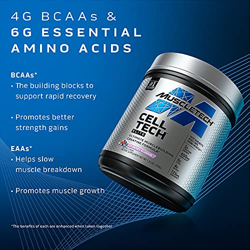 Creatine Powder | MuscleTech Cell-Tech Elite Creatine Powder | Post Workout Recovery MuscleTech Au supplements