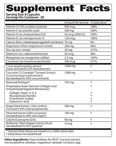 SaltWrap Joint Clinic - Joint Health Multivitamin Supplement - Tendon, Ligament, Cartilage SaltWrap Au supplements