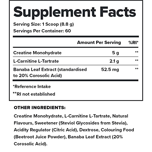 Legion Recharge Post Workout Supplement - All Natural Muscle Builder & Recovery Drink Legion Au supplements