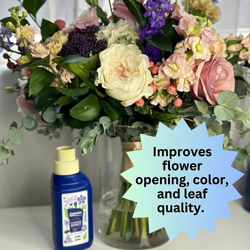 Chrysal Cut Flower Universal Food (10 ml/L Bottle) — Increase The Flower Boost with Floral Supplies Chrysal Au supplements