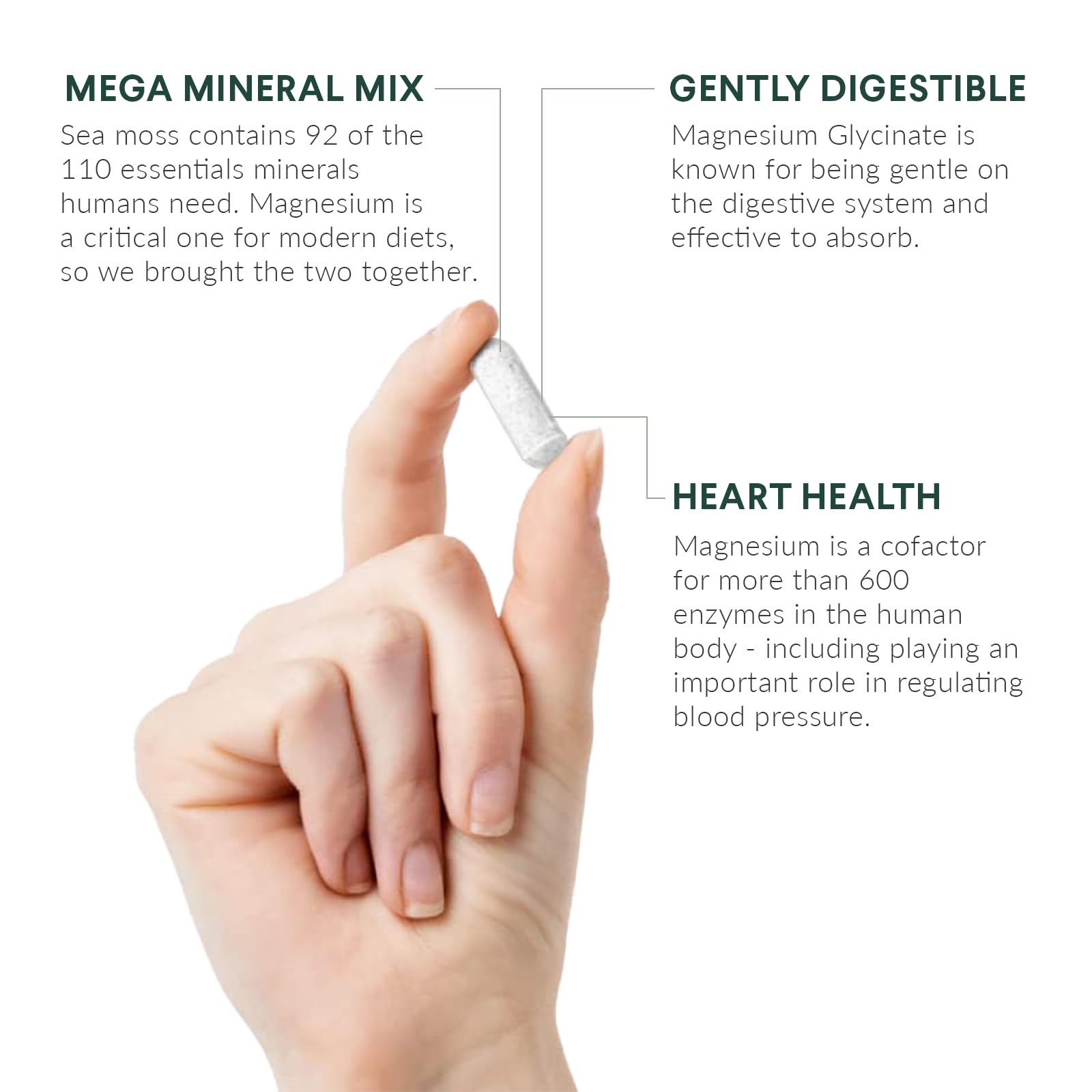 Nutritional Roots - Magnesium + Irish Sea Moss - 350mg Magnesium Glycinate & Organic Irish Sea Moss - Essential Minerals - Supports Heart & Bone Health - Dietary Supplement - 30 Servings - 60 Capsules Nutritional Roots Au supplements