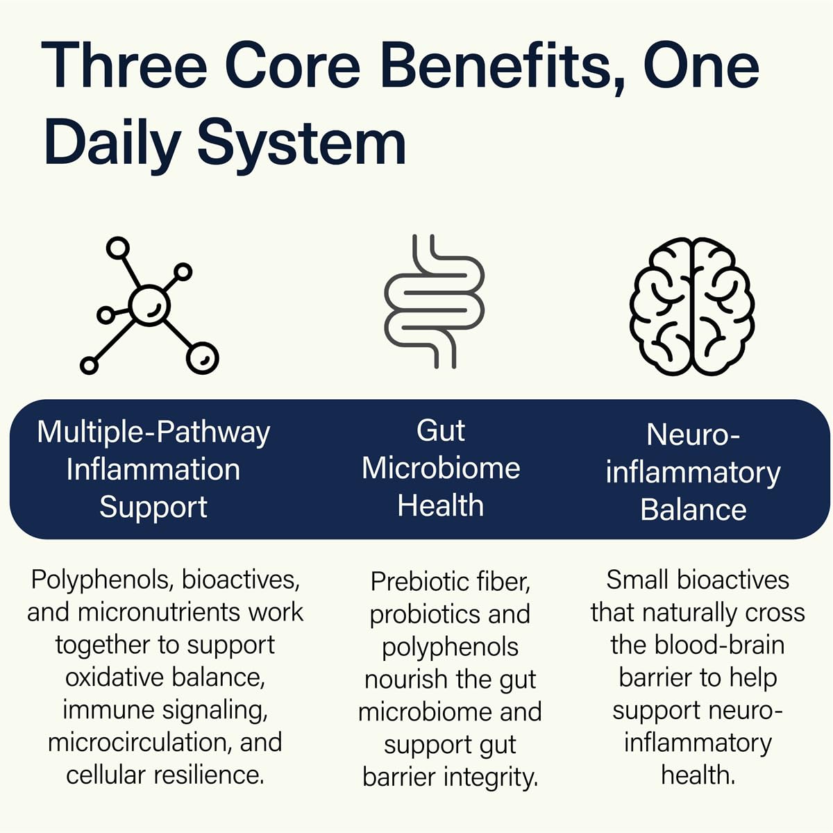 ACEND Advanced Inflammatory Support Powdered Drink Mix | Evidence-Based Polyphenols + Prebiotic Fiber + Probiotics | D3+K2, Minerals & Electrolytes | Non-GMO ACEND Au supplements