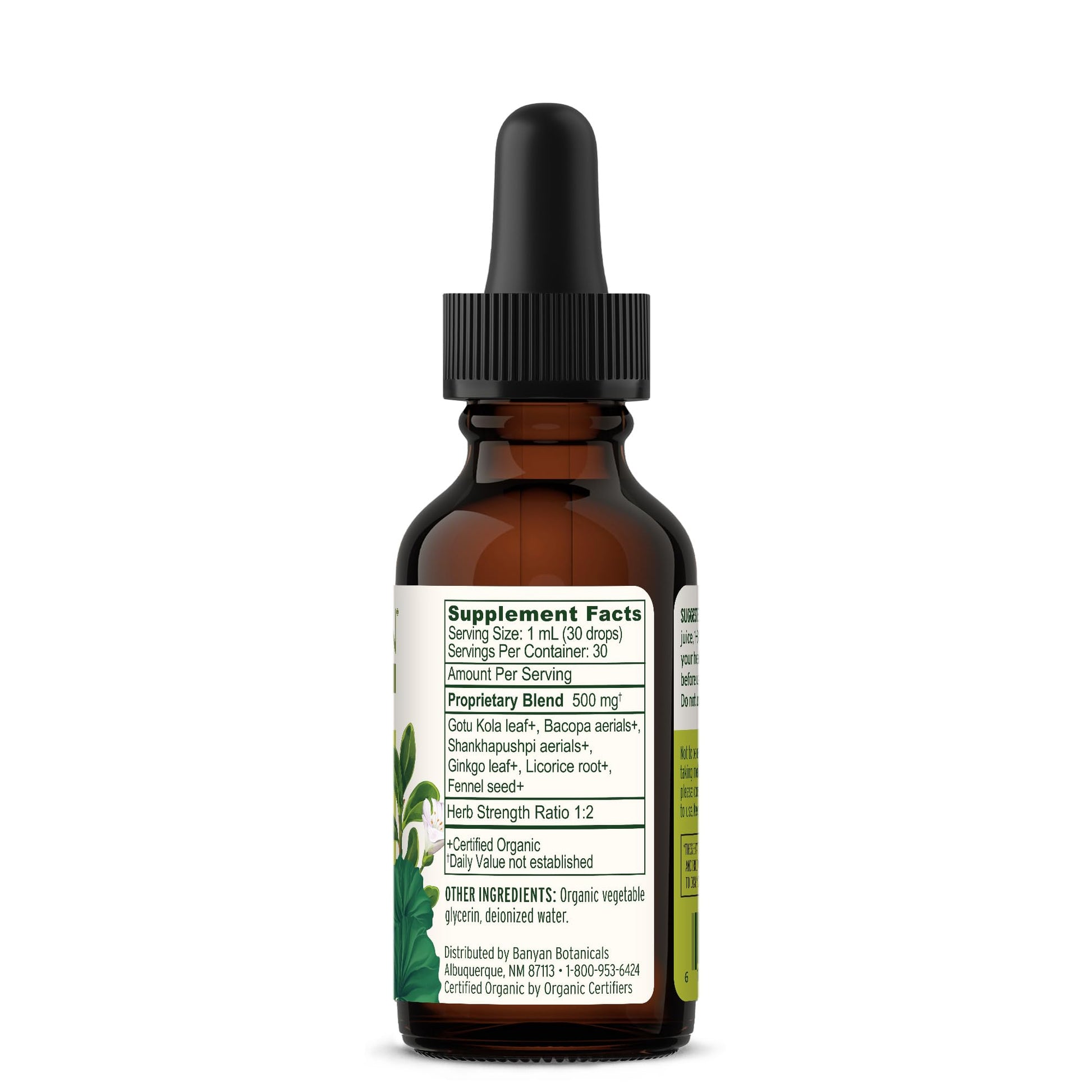 Banyan Botanicals Focus Liquid Extract – Organic Focus Supplement – Liquid Extract in Non-Alcoholic Glycerin – Nootropic Herbs for Fast-Acting Support* – 1 oz. – Non-GMO Sustainably Sourced Vegan Banyan Botanicals Au supplements