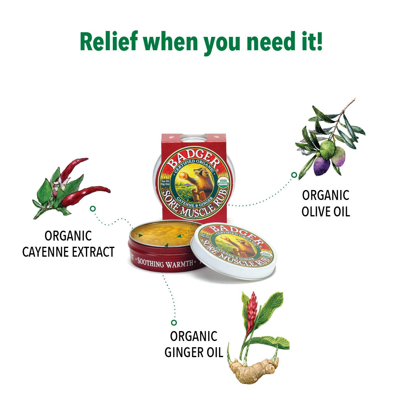 Badger Sore Muscle Rub Tin, Cayenne & Ginger, 2 oz (1 Pack) Badger Au supplements