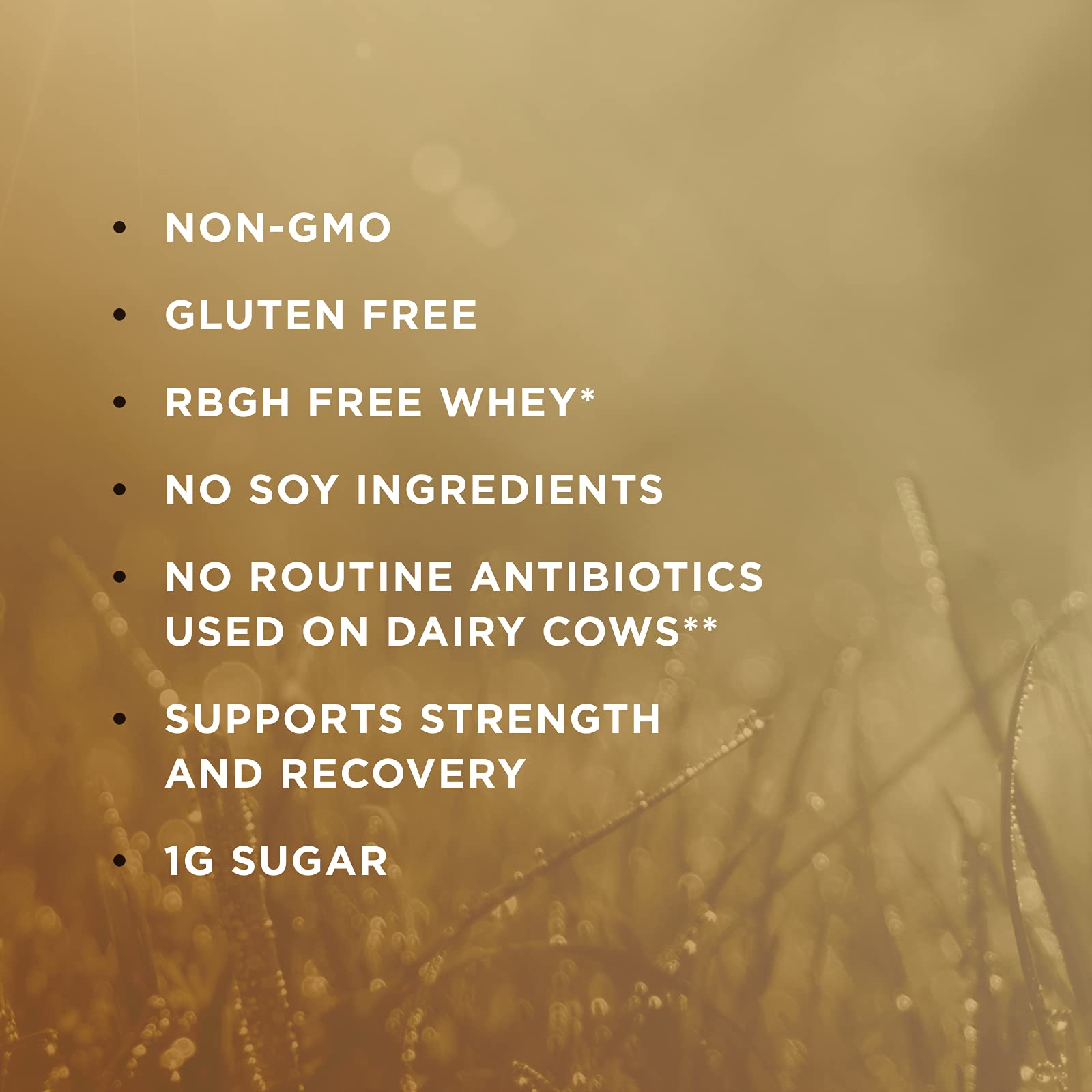 Solgar Whey To Go Natural Vanilla Flavour Protein Powder 340 g - Grass-Fed Whey from New Zealand Cows SOLGAR Au supplements