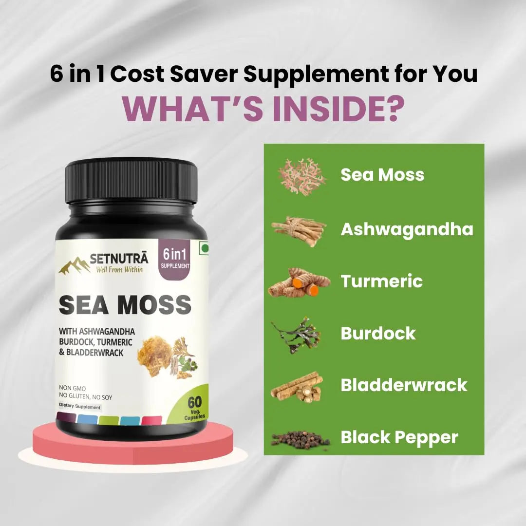SETNUTRA Well From Within Sea Moss 6 in 1 Super Blend Ashwagandha Burdock Turmeric & Bladderwrack Immunity & Detox Support 60 Veg Capsules Non GMO No Gluten SETNUTRA Well From Within Au supplements