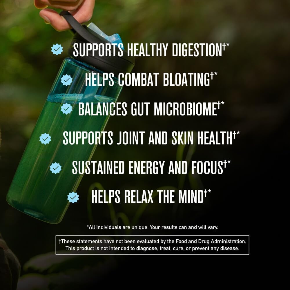 ROUNDHOUSE PROVISION Morning Kick, Zero Sugar Greens Superfood Powder Supplement with Ashwagandha, Collagen, Probiotics, Debloat Drink, 30 Servings (Strawberry Lemonade) by Chuck Norris ROUNDHOUSE PROVISION Au supplements