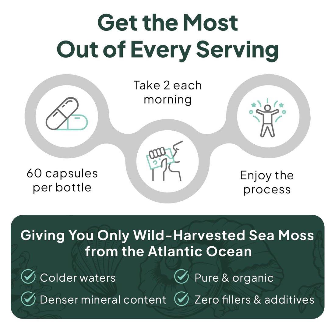 Organics Ocean Wild Sea Moss Capsules - 100% Organic Irish Sea Moss with Organic Chlorella, Bladderwrack and Vitamin D for Energy, Lung Health and Thyroid Support for Women and Men - 60 Capsules Organics Ocean Au supplements