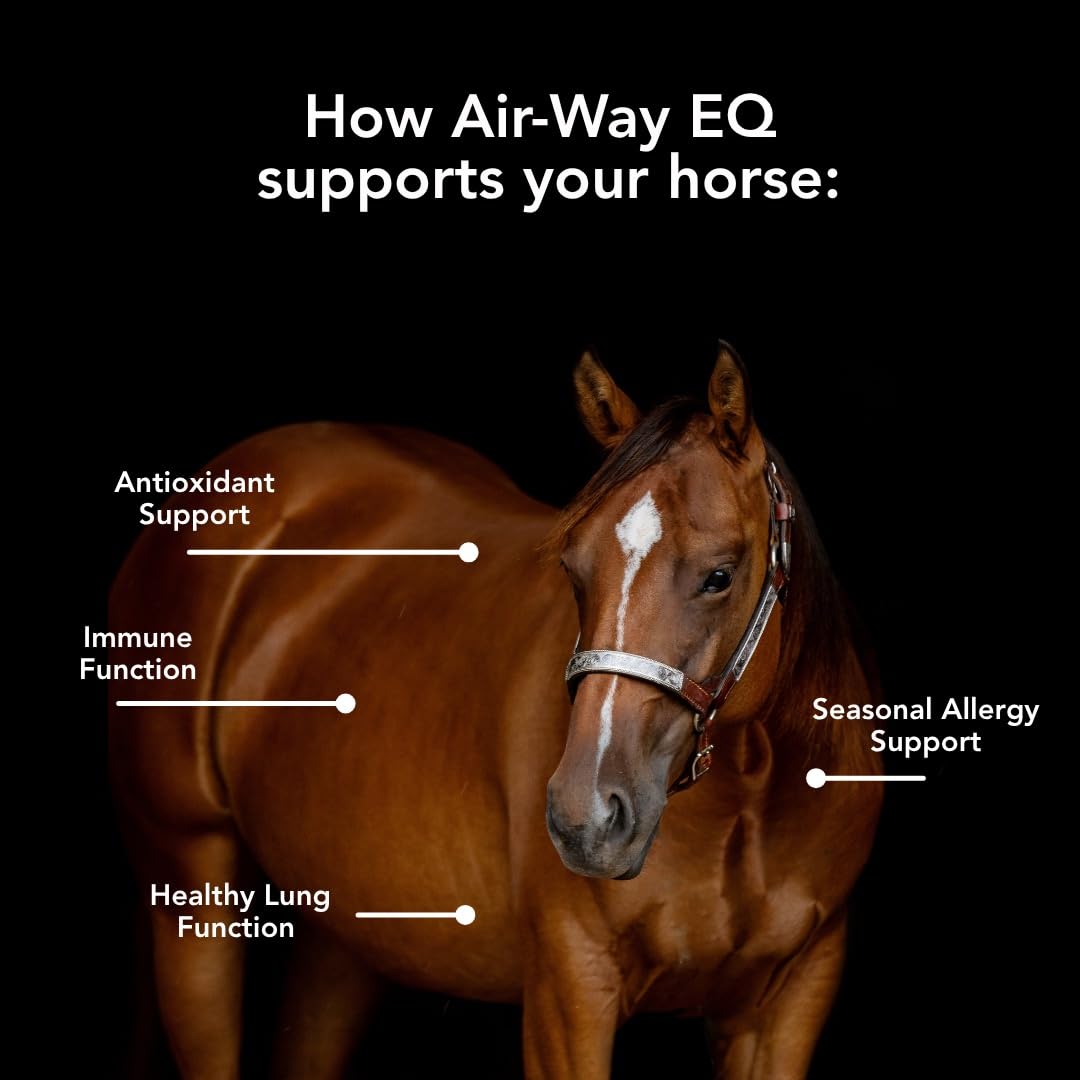 MVP Air-Way EQ Supports Healthy Lung Function and Seasonal Allergy Support in Horses, 5lb - 40 Servings MVP Au supplements