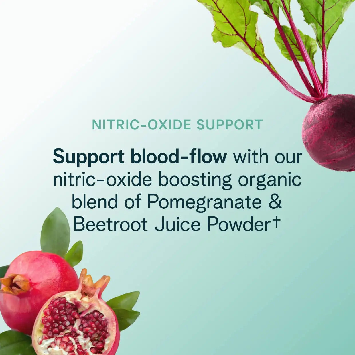 Ora Organic Natural Pre Workout Powder - Raspberry Lemonade Flavor- Provides Jitter Free Energy, Focus, Hydration, & Endurance - Vegan, Certified Organic, Soy, Dairy, & Gluten Free, 20 Servings Ora Organic Au supplements