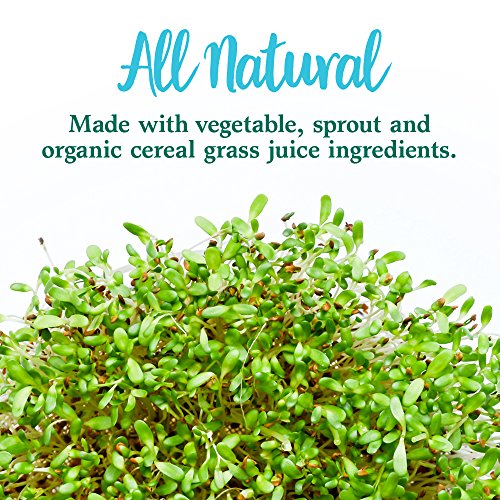 Garden of Life Perfect Food Super Green Formula - 14 Servings | 45 Superfoods, Greens Garden of Life Au supplements