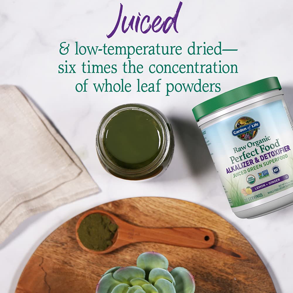 Garden of Life Raw Organic Perfect Food Alkalizer and Detoxifier, Lemon Ginger Flavored Superfood Powder Supplement, 30 Servings Garden of Life Au supplements