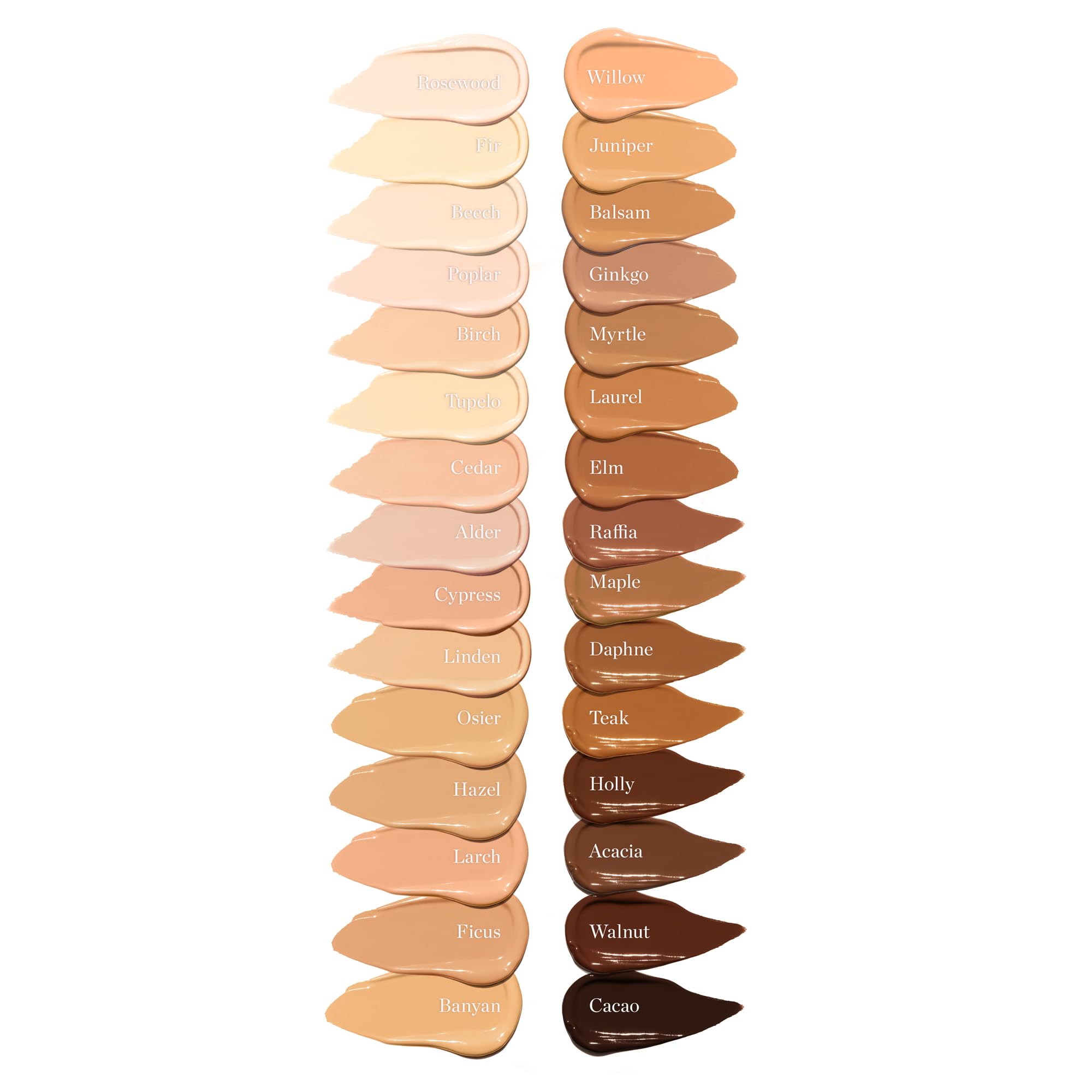 Ogee Complexion Perfecting Under Eye Concealer - Certified Organic Full Coverage Concealer - Buildable Coverage - OSIER 1.75W - Light Medium (Olive Undertones) Ogee Au supplements