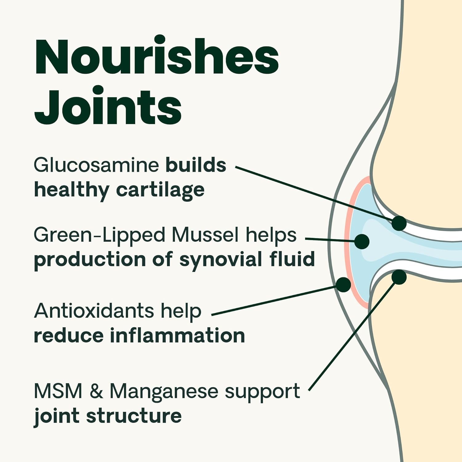 VetriScience Ultimate Strength Healthy Hip & Joint Chews, GlycoFlex Glucosamine, Chondroitin and Green-Lipped Mussel Joint Support Supplement for Dogs, Soothe Joint Discomfort, Duck, 120 Count VETRISCIENCE Au supplements