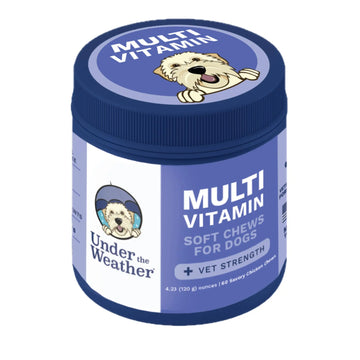 Under the Weather Multivitamin for Dogs | Vet Formulated Daily Canine Health Supplies for Immunity, Skin, Coat & Joint Support | All-in-One Multivitamin for Dogs of All Breeds & Sizes | 60 Count Under the Weather Au supplements