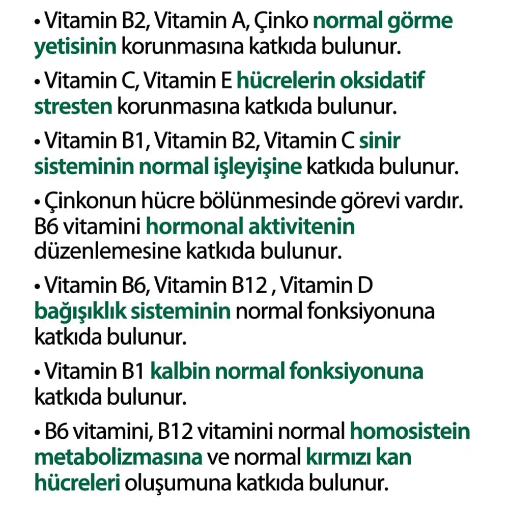 Vitabiotics Wellman 70+ 30 Tabs Vitabiotics Au supplements