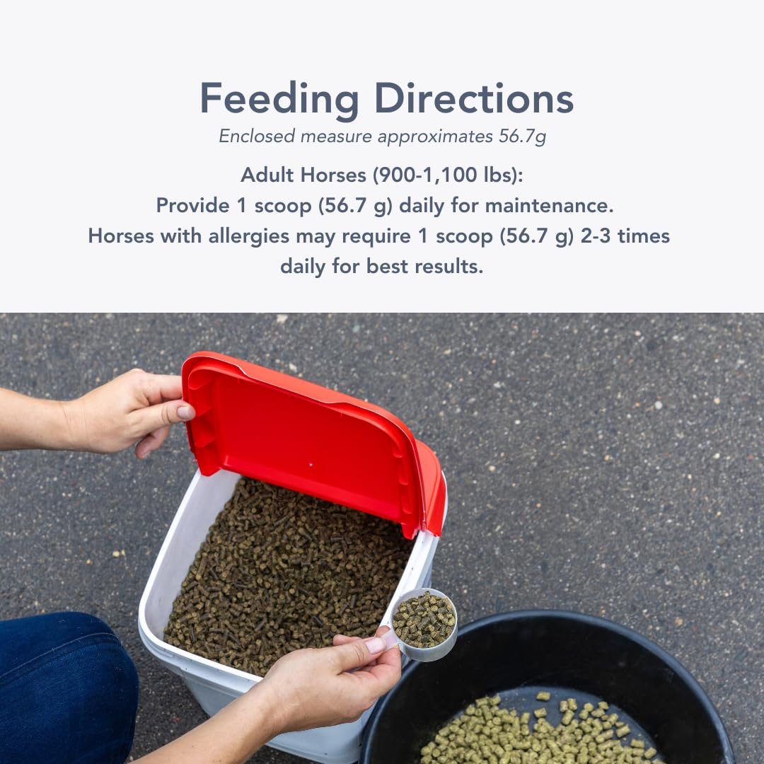 MVP Air-Way EQ Supports Healthy Lung Function and Seasonal Allergy Support in Horses, 5lb - 40 Servings MVP Au supplements