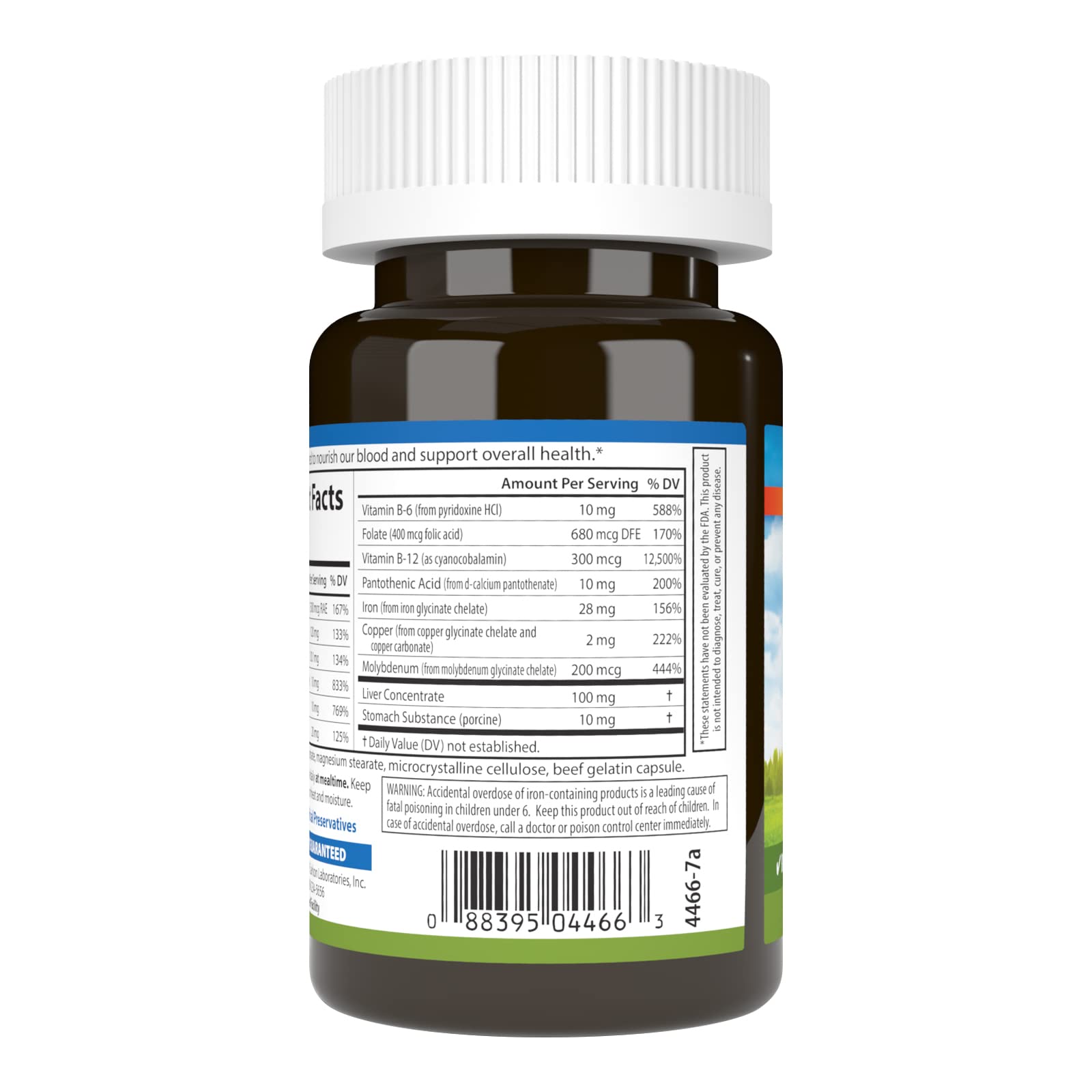 Carlson - Blood Nutrients, 28 mg Iron, Blood Development, Iron Absorption & Optimal Wellness, 40 Capsules Carlson Au supplements